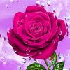 mian409363621
