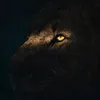 black_jck7