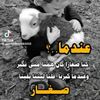 asssaa733