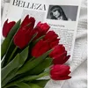 he_loyza