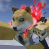 dogeplayzalldayz
