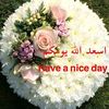 naguibrayan
