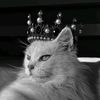 orazgulyyewna_05_