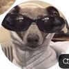 crystalailey3