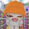 taylihernandez580