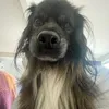 hellliieeeee