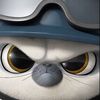 chom_528