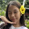arah_mina.j