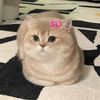 loafly.co