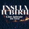 insula.ibr