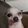 y_nhyi9