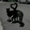 asyakvart