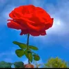 user5380440403017