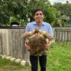 samroeng_farm_tortoise