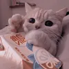 catbeonhat