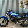 wong_elek1318