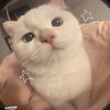 skizy_011