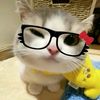 rnsaaimuppp