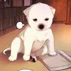guemdongie