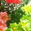 user1406240709970