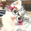 imsureisaglitchinyourcom