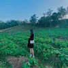 thawtaronlineshop