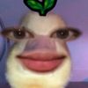 difahhhhhh_