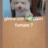 raffaeledibiase989