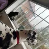 otis_leaane