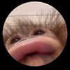eneflavius