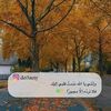 abojad5561