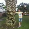 plamadealaion3
