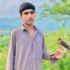 waseemjani381
