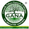 g.a.n.a.221