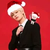 skz_fan1235