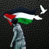 nasro_nacreddine0
