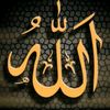 espoire_dz369