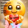 armado010