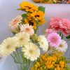 user251201653