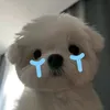 *ੈ♡༘⋆𝓣𝓻à   𝓜𝔂 ༘˚⋆𐙚｡