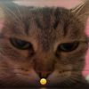 best__561