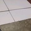 dhedyppb