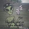 turco.de.gonsalez