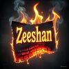 zeeshanhussain035