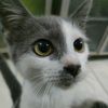 mayka_31