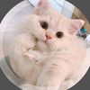 jonetaehyung75
