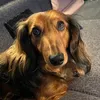 bailey_julie2000