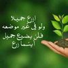 user820863930467