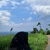 afrladlpratwi