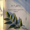 shada_m7